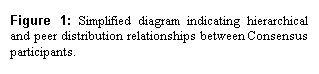 Text Box: Figure 3: Simplified diagram indicating hierarchical and peer distribution relationships between Consensus participants.