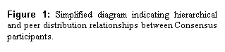 Text Box: Figure 3: Simplified diagram indicating hierarchical and peer distribution relationships between Consensus participants.